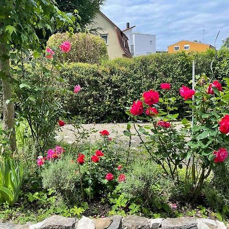 Fewo Apartment Lake Of Constance 腓特烈港 外观 照片